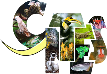 cites