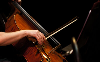 The Scroll: The membership magazine of the Violin Society of America